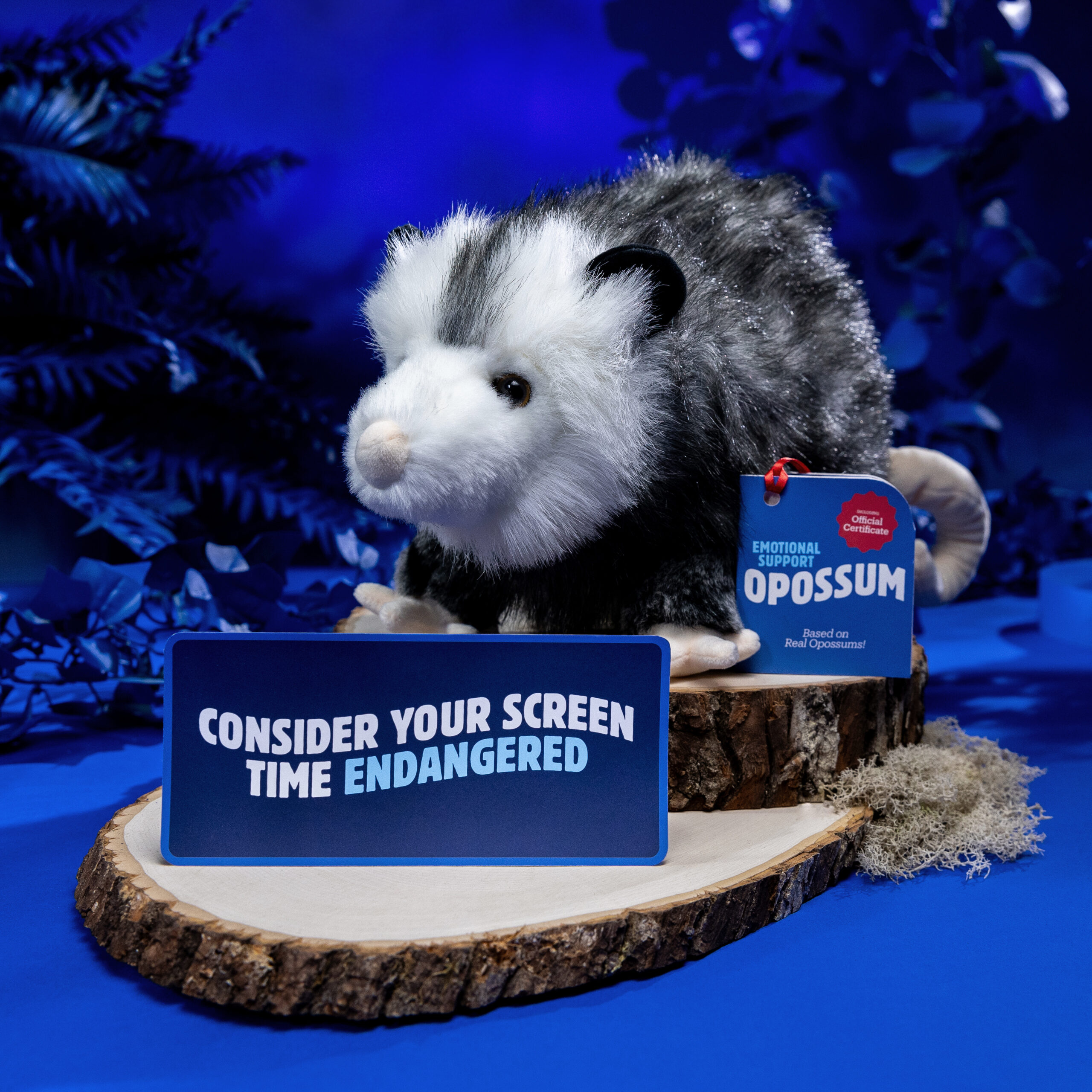 USCCPDF5PossumSOCIAL5 USCCPDF5PossumSOCIAL5